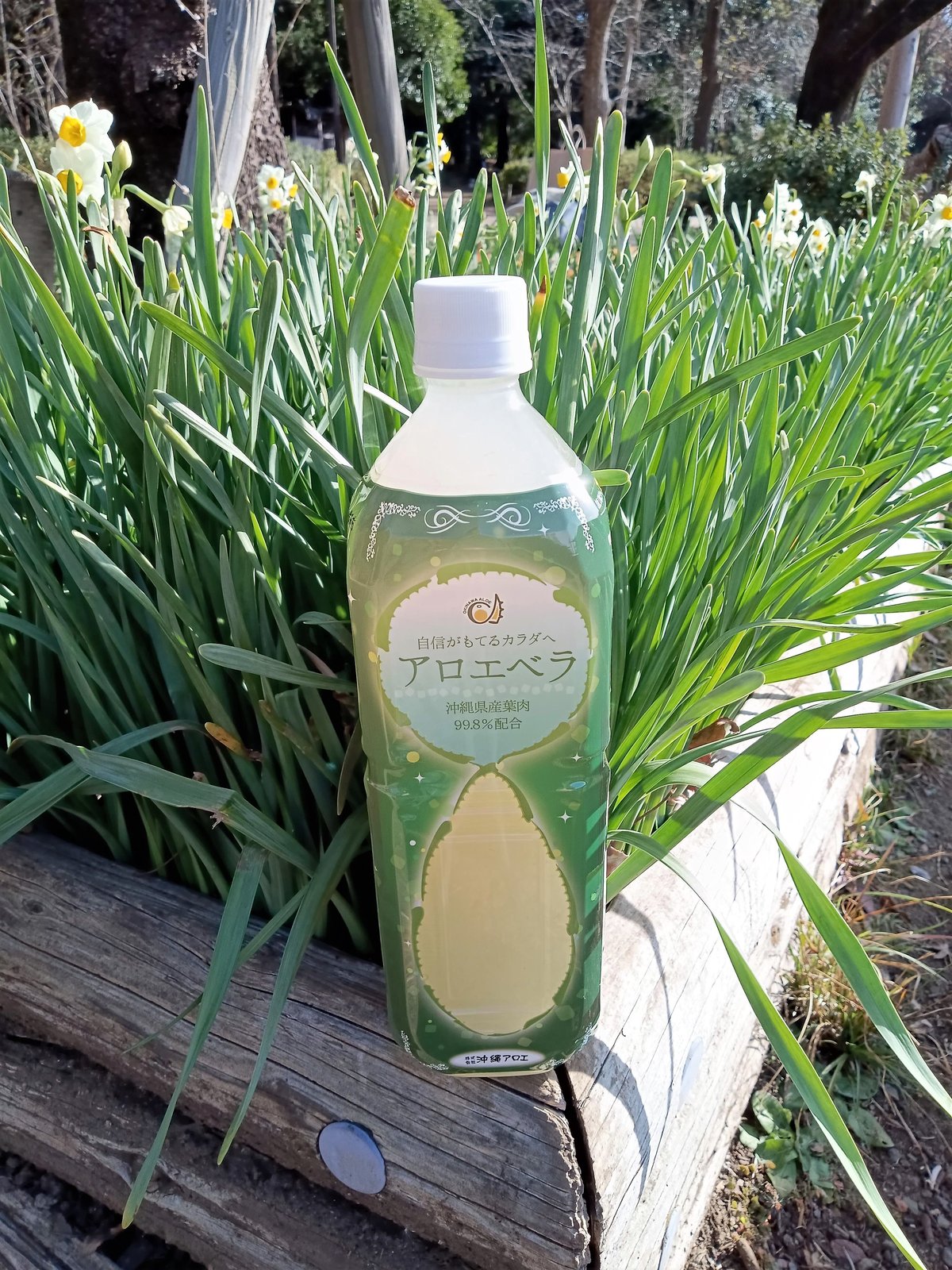 HG 有機アロエベラジュース 600ml 皆さんこんにちは！ 今日は、弊社を代表する商品「HG 有機