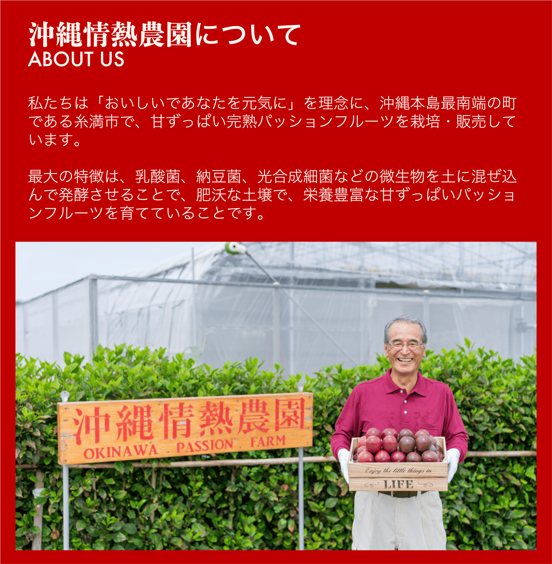 甘ずっぱい完熟パッションフルーツ通販｜沖縄情熱農園