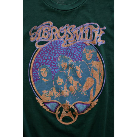 “AEROSMITH” Get Your Wing Tour (1974) Rock Tshirt