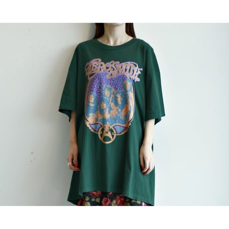 “AEROSMITH” Get Your Wing Tour (1974) Rock Tshirt