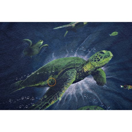 Sea Turtles Print Tshirt