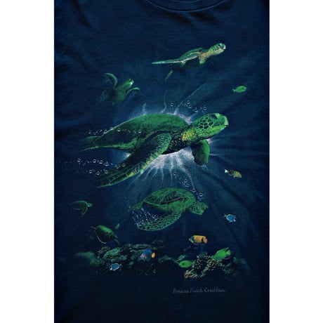 Sea Turtles Print Tshirt