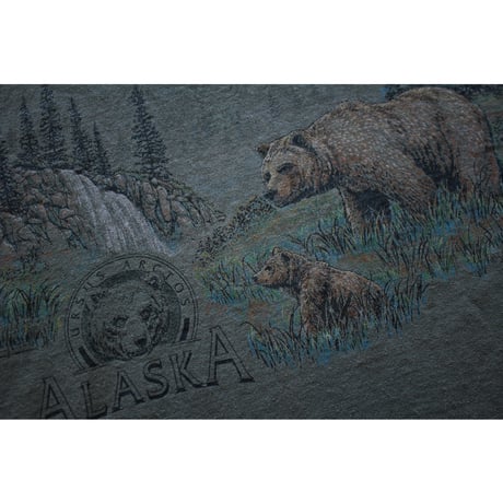 1990s Vintage Tultex Alaska Bears Graphic Tshirt / Made in USA Parts