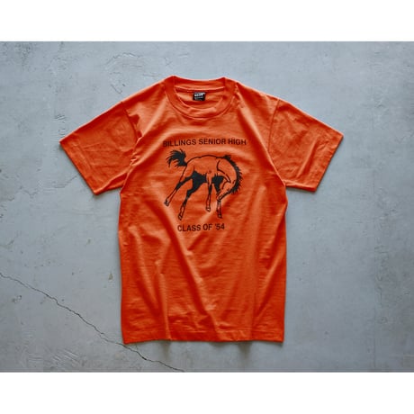 1990s Fruit Of The Loom Horse Print Tshirt / Made in USA