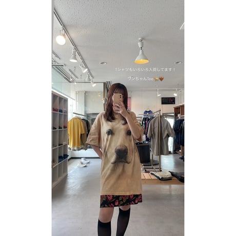 “The Mountain” Yellow Labrador Face Tshirt