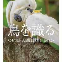 鳥を識る なぜ鳥と人間は似ているのか/細川博昭(著)
発行：ＫＡＤＯＫＡＷＡ