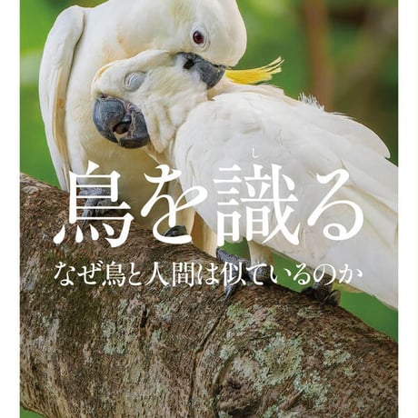鳥を識る なぜ鳥と人間は似ているのか/細川博昭(著)
発行：ＫＡＤＯＫＡＷＡ