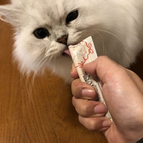 猫のおやつ《スナックタイム（サーモン）》井上奈奈『猫のミーラ』イラストパッケージ