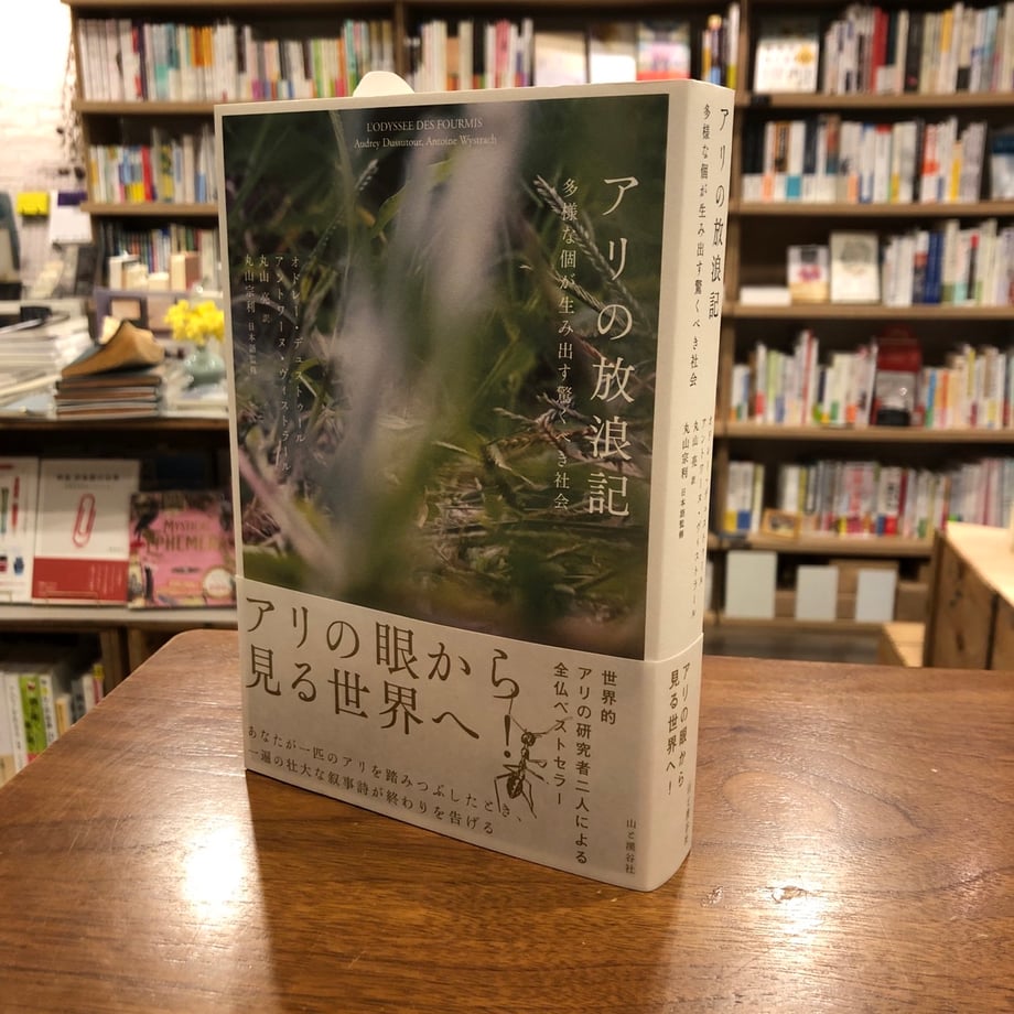 678d098e9300a948db692ba6