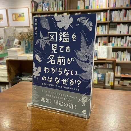 CATEGORY マルジナリアBookClub | よはく舎／マルジナリア書店