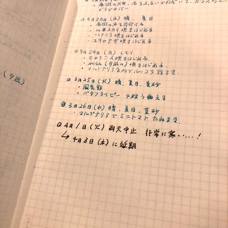《イベント告知用》分倍河原園芸部（次回：3月10日火曜10～11時頃、夕凪文具店前）