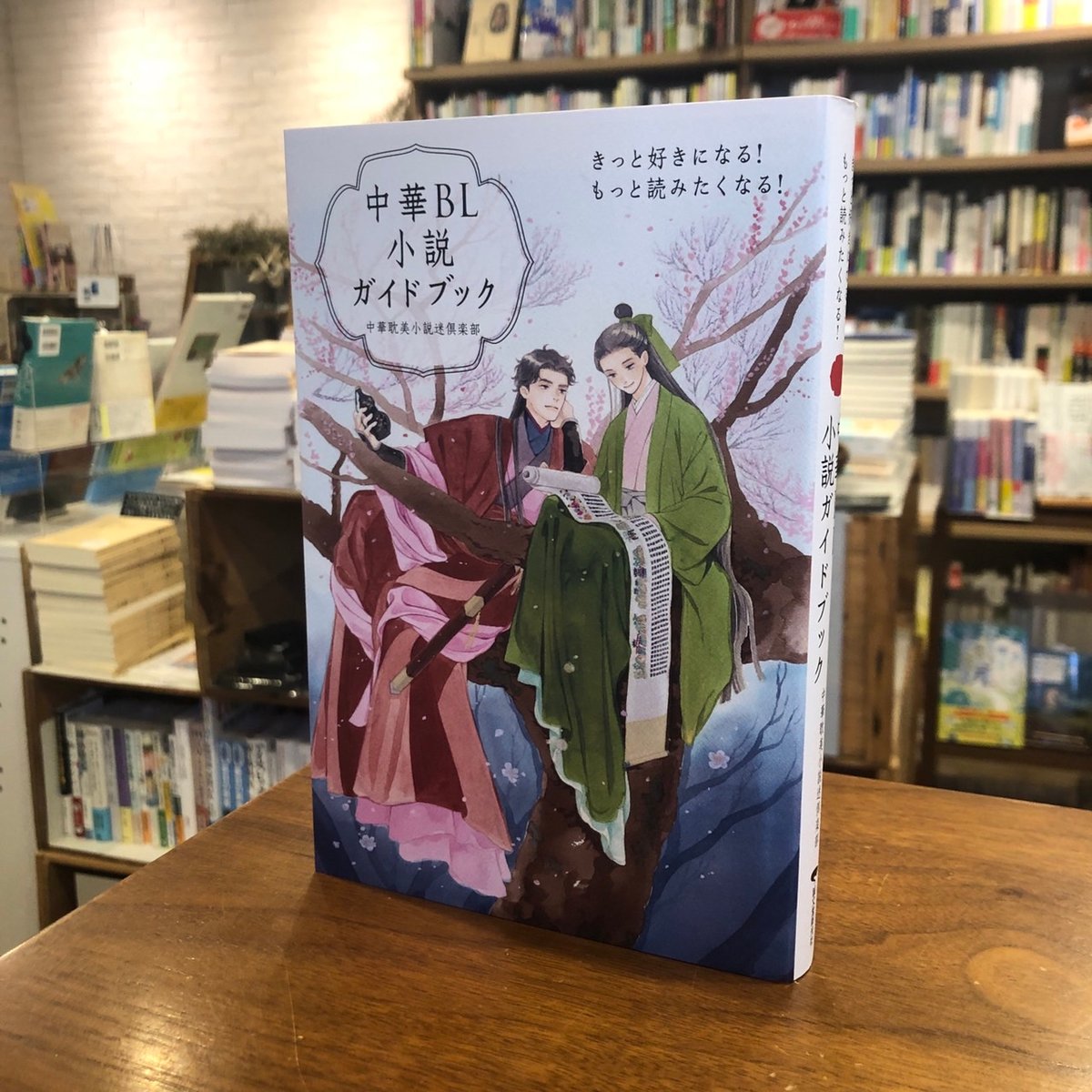 中華BL小説まとめ売り 中華BL小説『千秋』第2巻発売決定記念！ 読者アンケート募集中