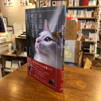 『ネコはここまで考えている 動物心理学から読み解く心の進化』
