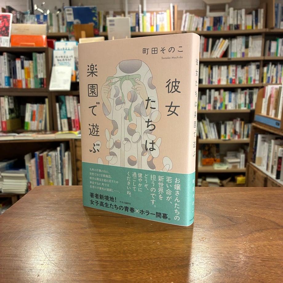 68c23a38f3e16834e337f904