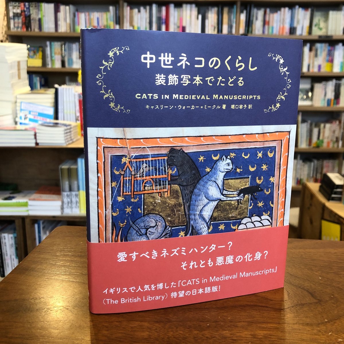 【中岡猫】あなたとスキャンダル 全巻　初版 中世ネコのくらし 装飾写本でたどる』 | よはく舎／マルジナリア