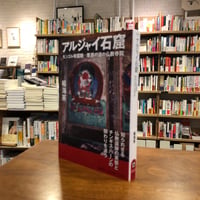 『アルジャイ石窟 モンゴル帝国期　草原の道の仏教寺院』楊 海英