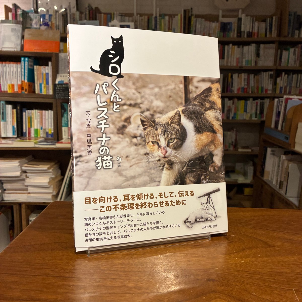サイン本》 『シロくんとパレスチナの猫』高橋美香(文・写真) 発行
