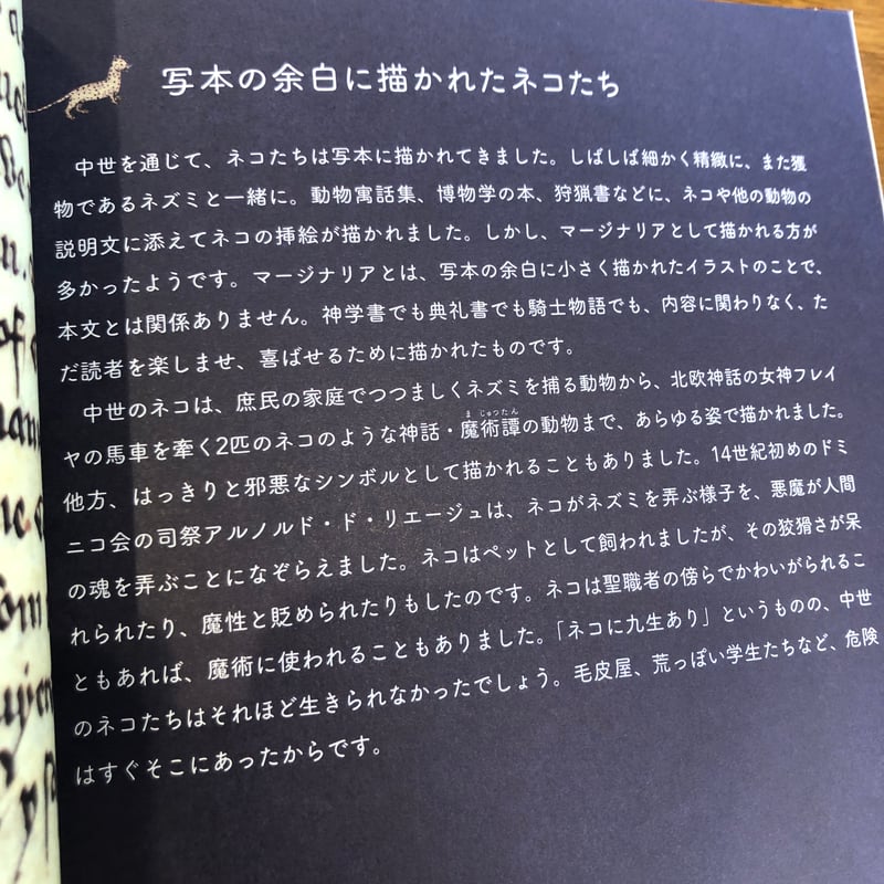 【中岡猫】あなたとスキャンダル 全巻　初版 中世ネコのくらし 装飾写本でたどる』 | よはく舎／マルジナリア