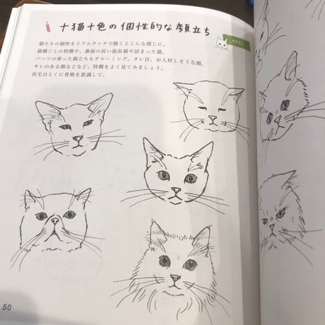 『ねこの描き方れんしゅう帖』小泉さよ