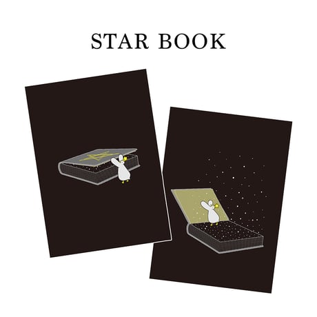 《特別限定版》『STAR AHIRU BOX（日本版）』SANAE FUJITA
