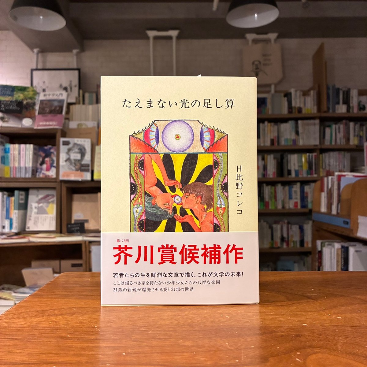 たえまない光の足し算』日比野 コレコ(著) 発行：文藝春秋 | よはく舎