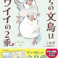うちの文鳥はカワイイの2乗/こむぎ(著)伊藤美代子(監修)
発行：オレンジページ