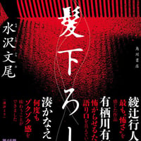 初髪下ろし/水沢文尾(著)
発行：ＫＡＤＯＫＡＷＡ