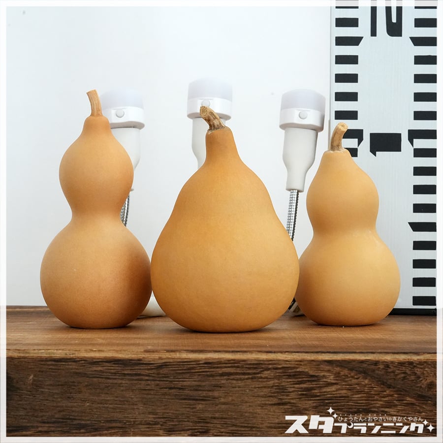 ひょうたんライトキット S07 | ひょうたんストア ＼ココダッテ／