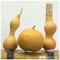 HYOUTAN_FRIDAY】素ひょうたんセット【DD-02】 | ひょうたんストア