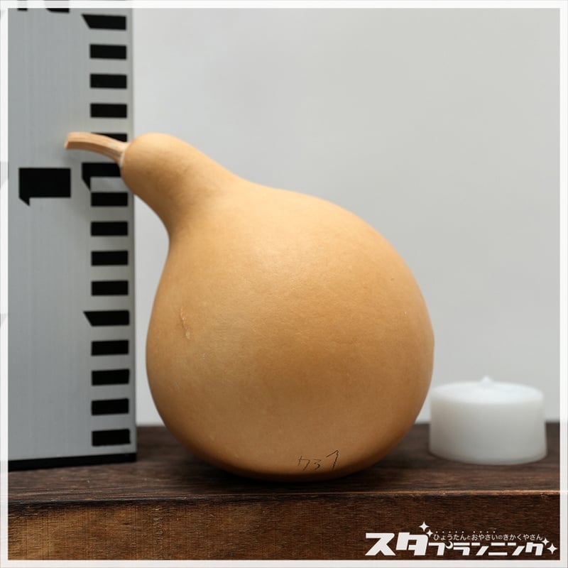 ひょうたんランプ(センサーライト付) ひょうたんランプ(センサーライト付)