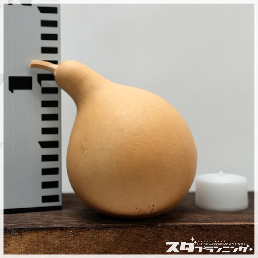 天然のひょうたんランプにLEDの台付きます 天然のひょうたんランプとLEDライト台付き