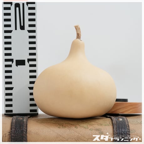 ひょうたんストア ＼ココダッテ／