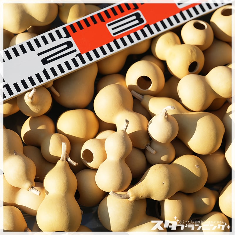 Sサイズ/約8cm前後】手のひらサイズのひょうたん素材＿1個 【クラフト