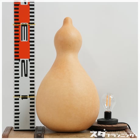 駿河ひょうたん　瓢六堂　駿河小町瓢箪　27cm 瓢箪 | STORES