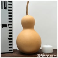 ひょうたんライトキット　745