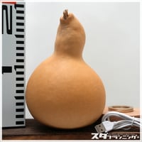 ひょうたんランプキット M28 | ひょうたんストア ＼ココダッテ／
