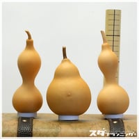 HYOUTAN_FRIDAY】素ひょうたんセット【DA-10】 | ひょうたんストア