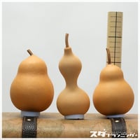 HYOUTAN_FRIDAY】素ひょうたんセット【DA-07】 | ひょうたんストア