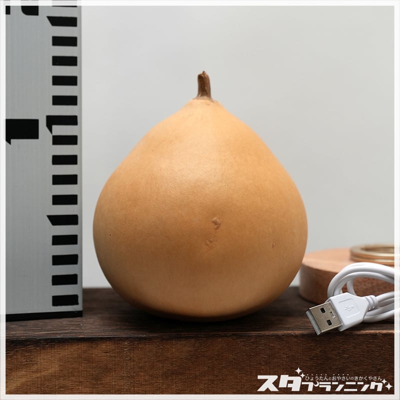 ひょうたんランプキット 156 | ひょうたんストア ＼ココダッテ／