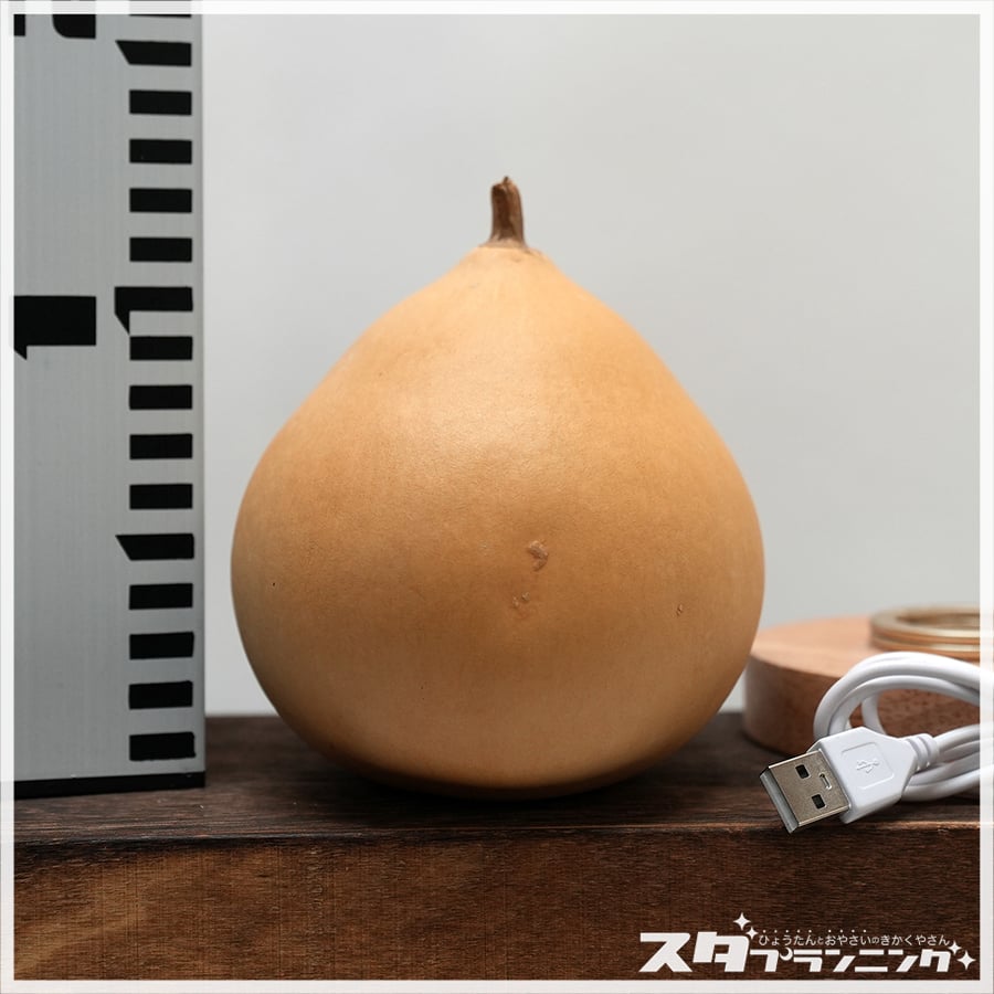 ひょうたんランプ ひょうたんランプキット 156 | ひょうたんストア ＼ココダッテ／