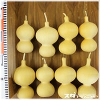 HYOUTAN_FRIDAY】素ひょうたんセット【DD-02】 | ひょうたん