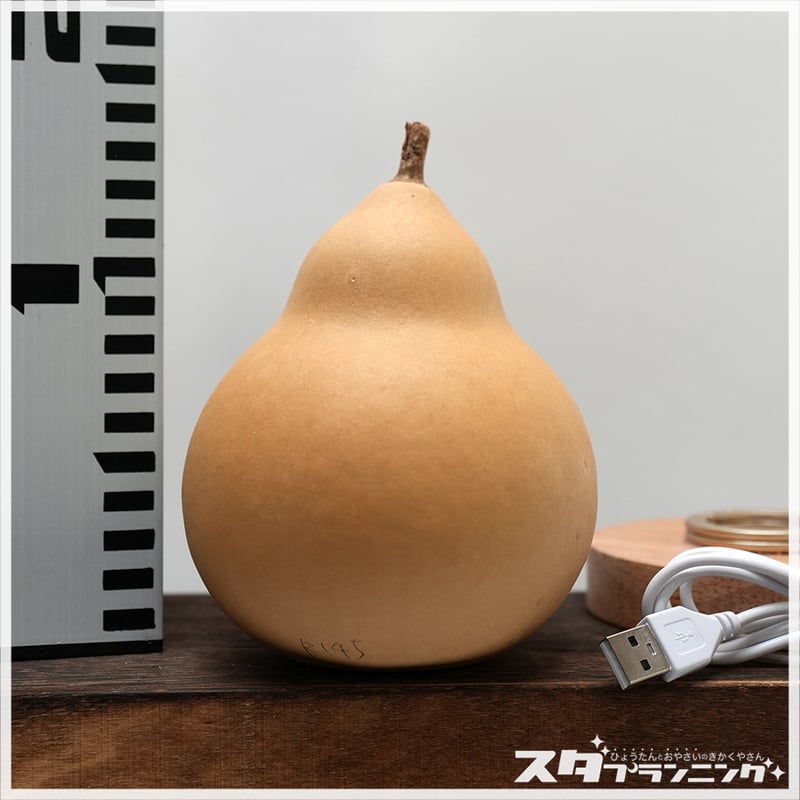 ひょうたんランプキット 145 | ひょうたんストア ＼ココダッテ／