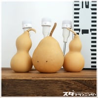 HYOUTAN_FRIDAY】素ひょうたんセット【DA-07】 | ひょうたんストア