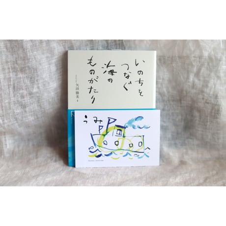 ポストカード『うみ』