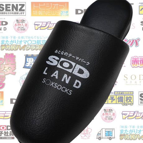 SODLANDスリッパ📀black