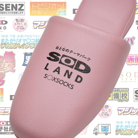 SODLANDスリッパ📀pink