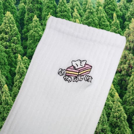 花粉症のティッシュS◯X🧦white