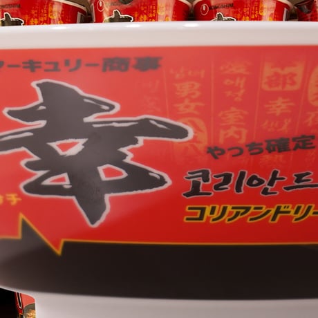 コリアンドリーム丼ぶり🍜