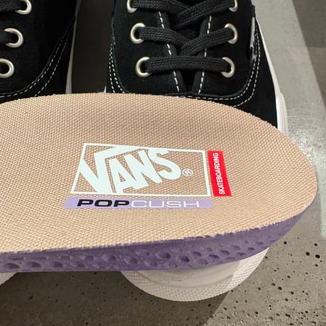 VANS  SKATE AUTHENTIC HIGH