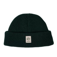 MAGENTA SKATEBOARDS  FAM BEANIE - GREEN